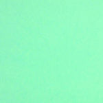 Colorplan 8.5X11 Cardstock 100#CV - 10 Sheets