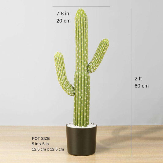 Künstliche Kaktuspflanze Dado im Topf, 60 cm