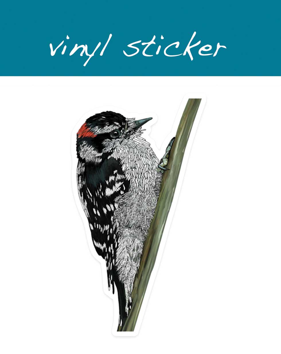 Vinyl-Aufkleber - Dunenspecht