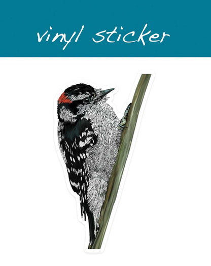 Vinyl-Aufkleber - Dunenspecht