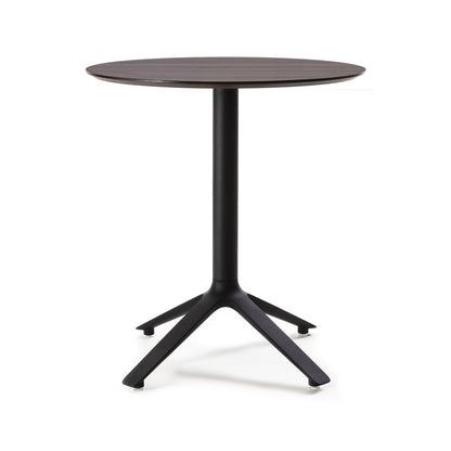 EEX Esstisch<br> Holzplatte<br> Verwendung im Innenbereich