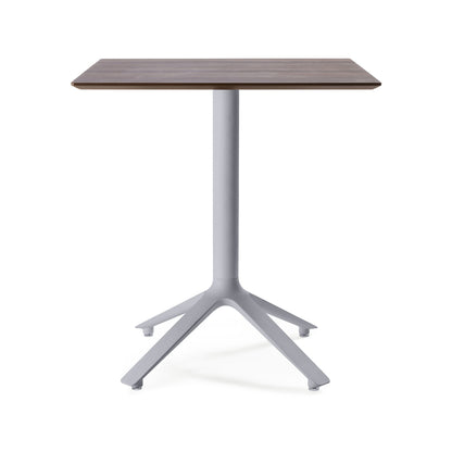 EEX Esstisch<br> Holzplatte<br> Verwendung im Innenbereich