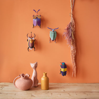 Elephant Beetle