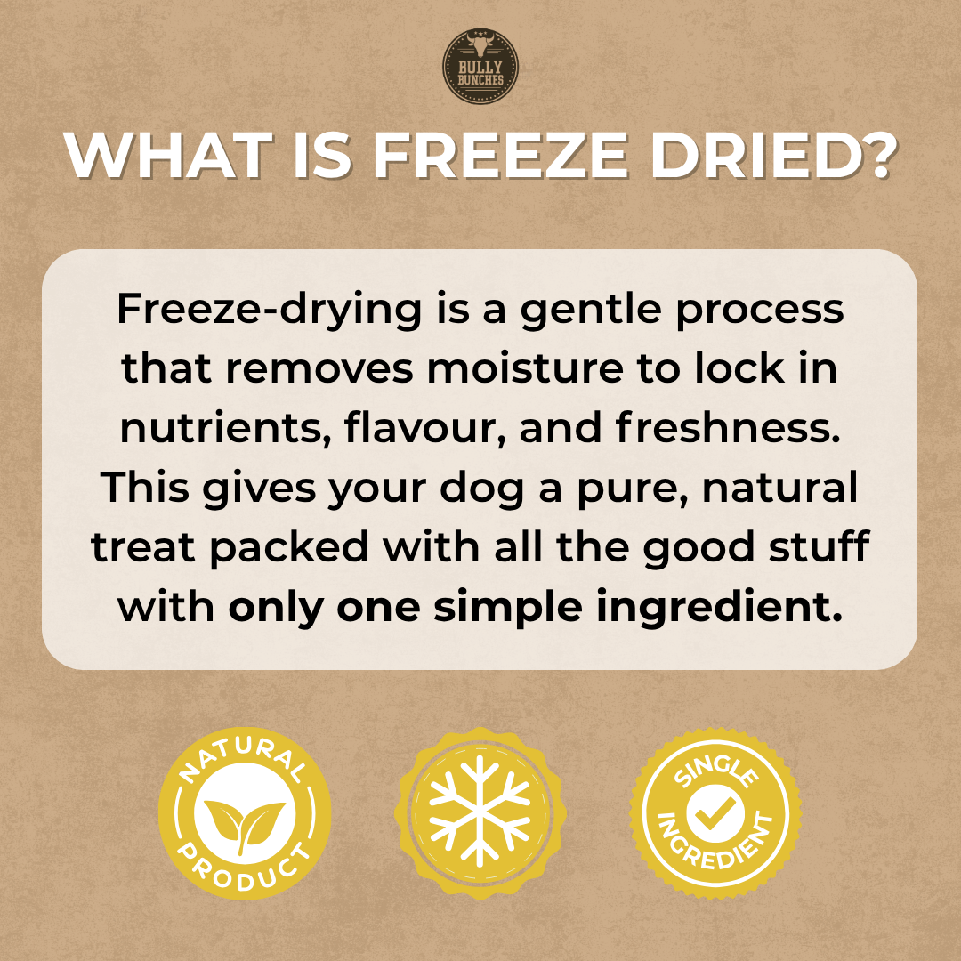 Freeze Dried Chicken 100g / 3.5oz