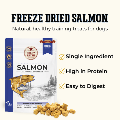 Freeze Dried Salmon 100g / 3.5oz