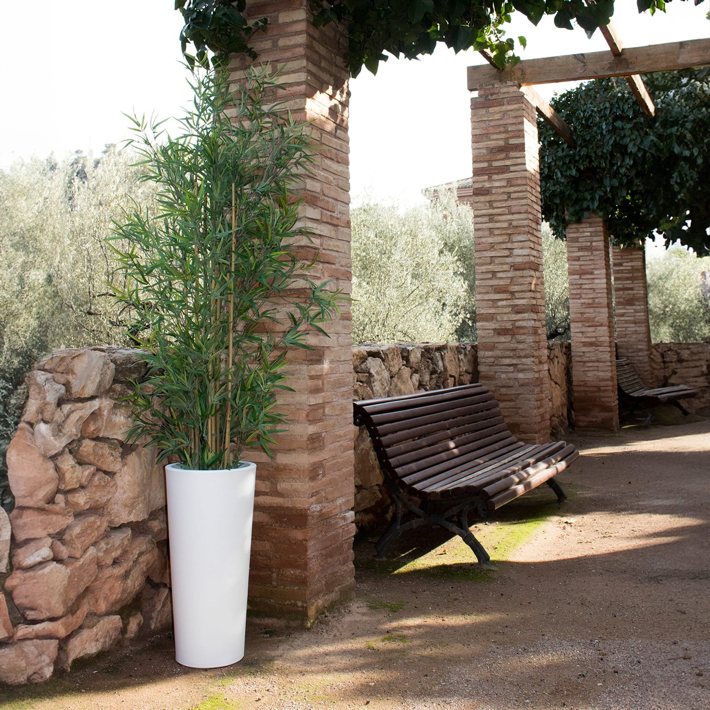 Ficus<br> Solar &amp; wiederaufladbar