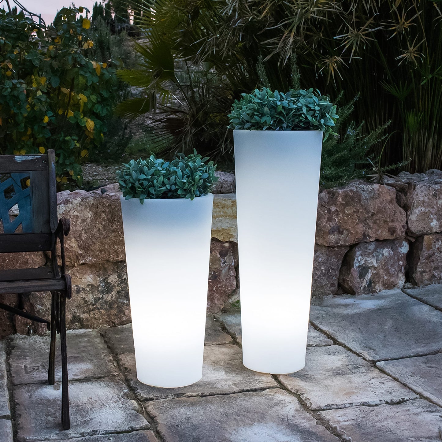 Ficus<br> Solar &amp; wiederaufladbar