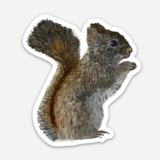 Kühlschrankmagnet - Amerikanisches Rothörnchen