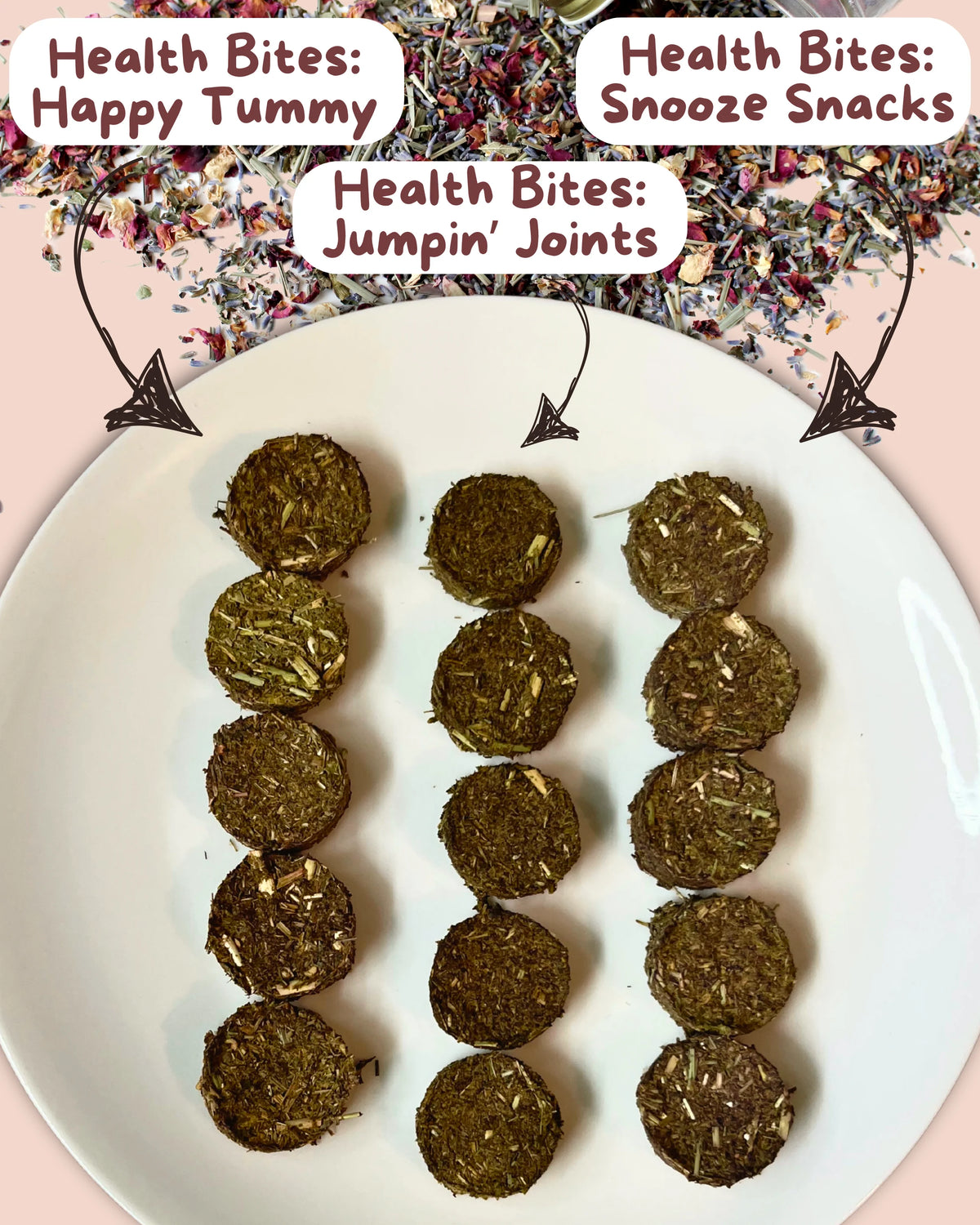 Health Bites: Happy Tummy