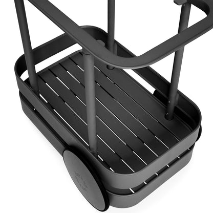 Fröhlicher Trolley