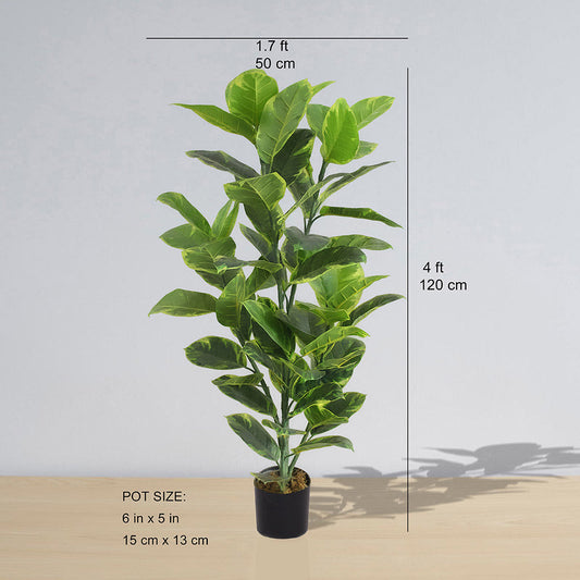 Jerico Kunstkautschuk Topfpflanze 120 cm