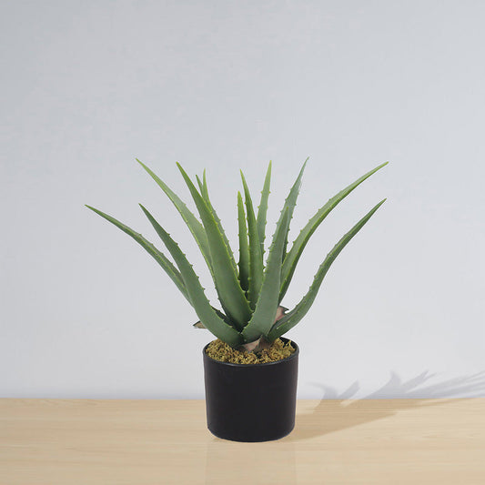 Künstliche Aloe Vera Topfpflanze Guamo (verschiedene Größen)