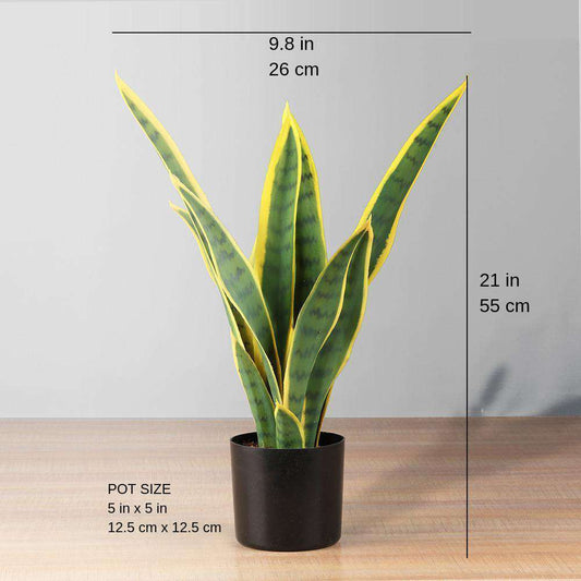 Leti Künstliche Schlangenpflanze Sansevieria im Topf 53 cm
