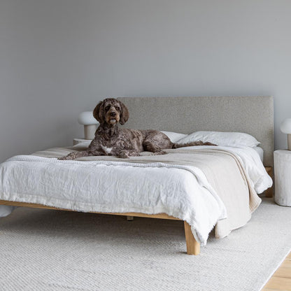 Luna Tool Free Upholstered Queen Bed - Beige
