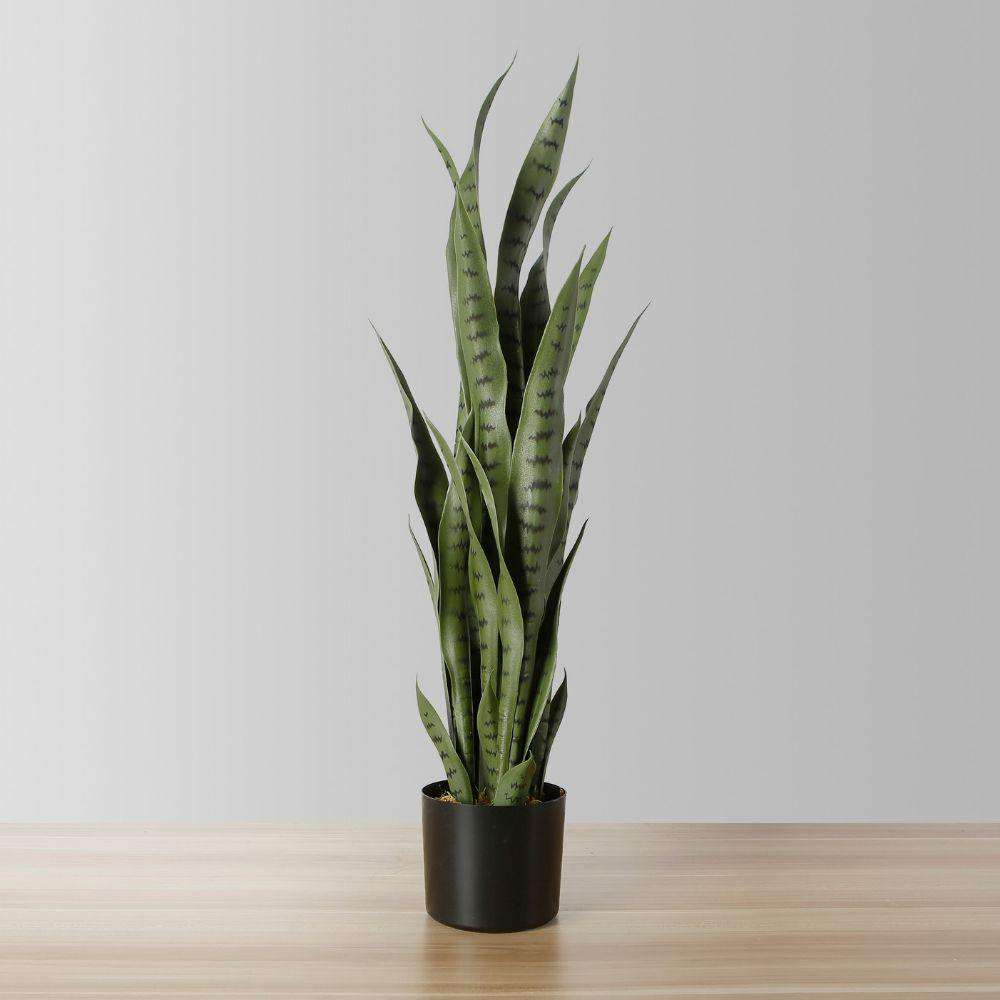 Milo Künstliche Schlangenpflanze Sansevieria Dunkelgrün Getopft (Verschiedene Größen)