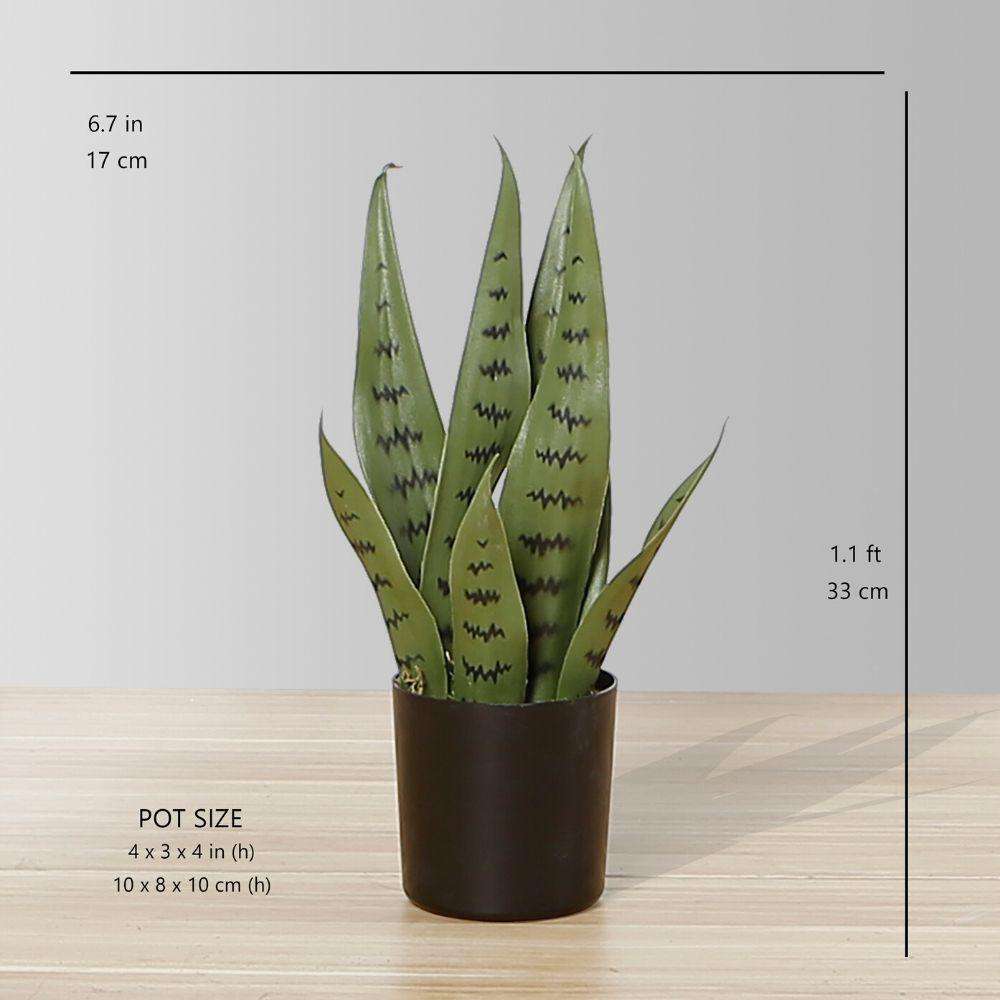 Milo Künstliche Schlangenpflanze Sansevieria Dunkelgrün Getopft (Verschiedene Größen)