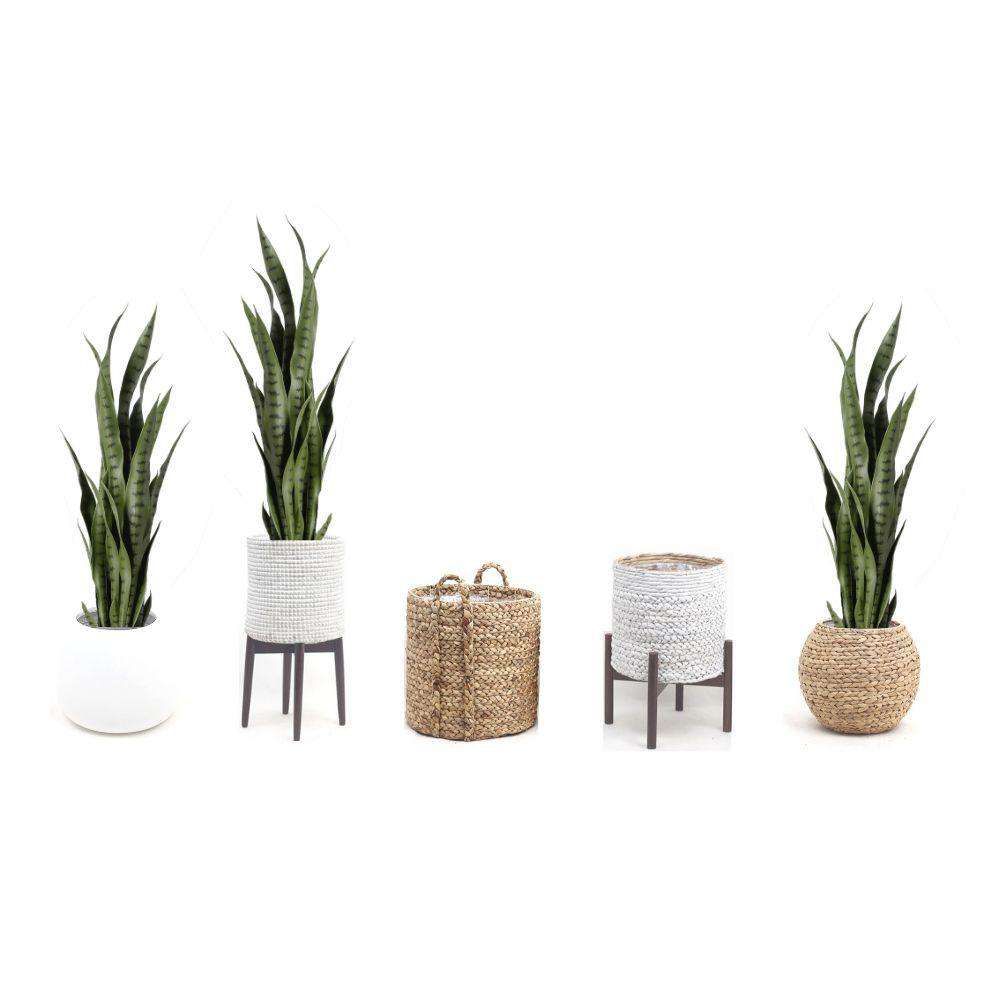 Milo Künstliche Schlangenpflanze Sansevieria Dunkelgrün Getopft (Verschiedene Größen)