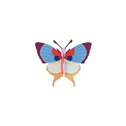 Plum Fringe Butterfly