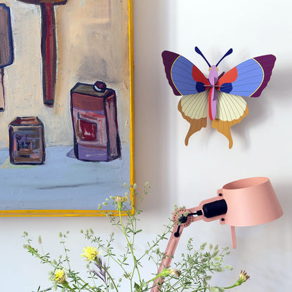 Plum Fringe Butterfly