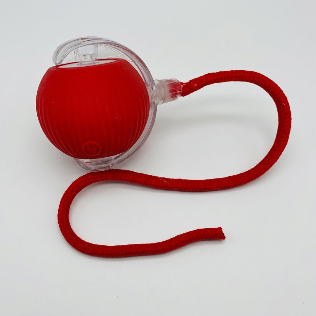 Pet Vibrating Bouncing Ball Toy with Tail