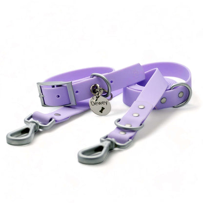 Hundespaziergang-Kombination: Halsband, Leine, Erkennungsmarken-Set