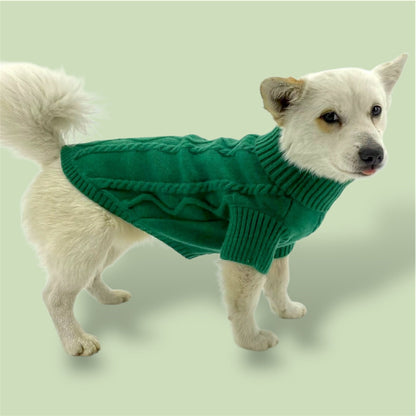 Green Sweater with D-ring