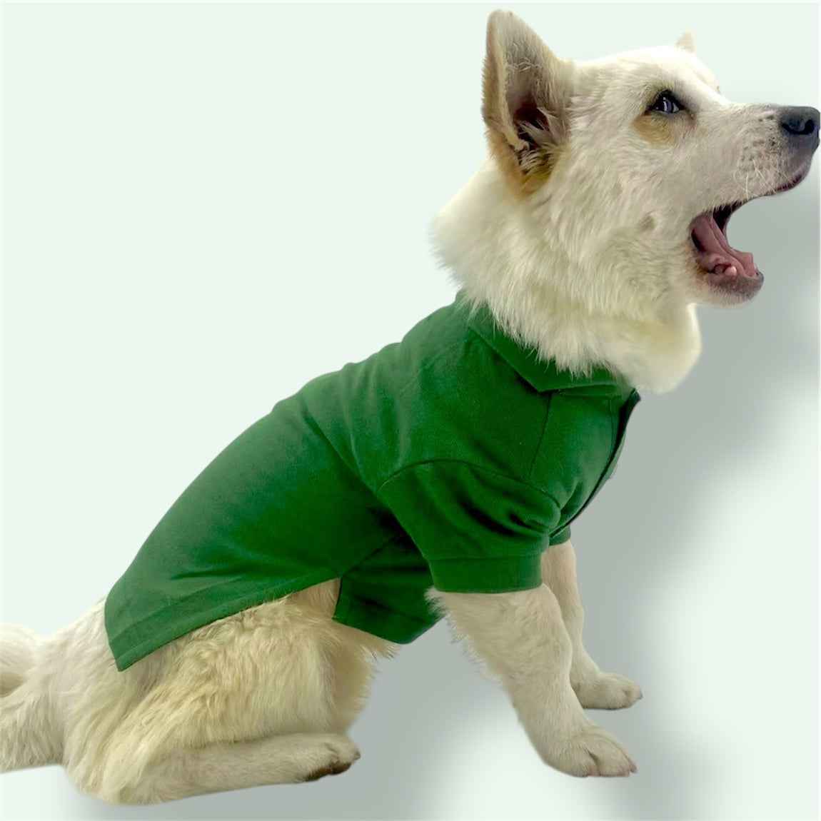 Green cotton shirt