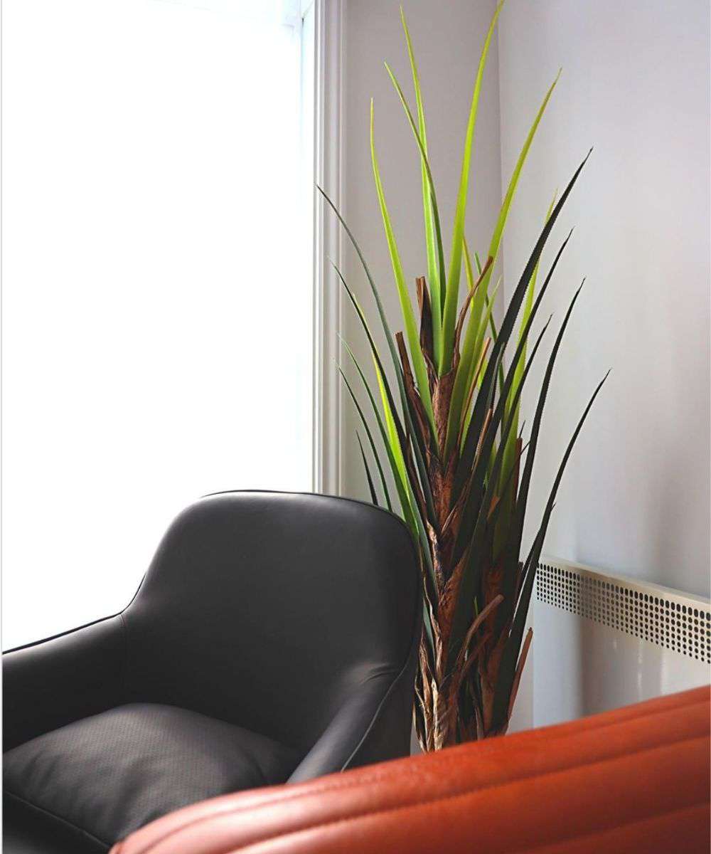 Ralu Künstlicher Aloe-Baum Topfpflanze (verschiedene Größen)