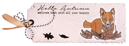 Beauty of Fall Bundle