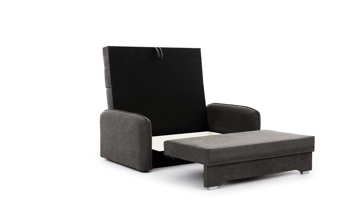 Laine Condo Style 2 Seater Storage Sleeper Sofa - Dark Grey