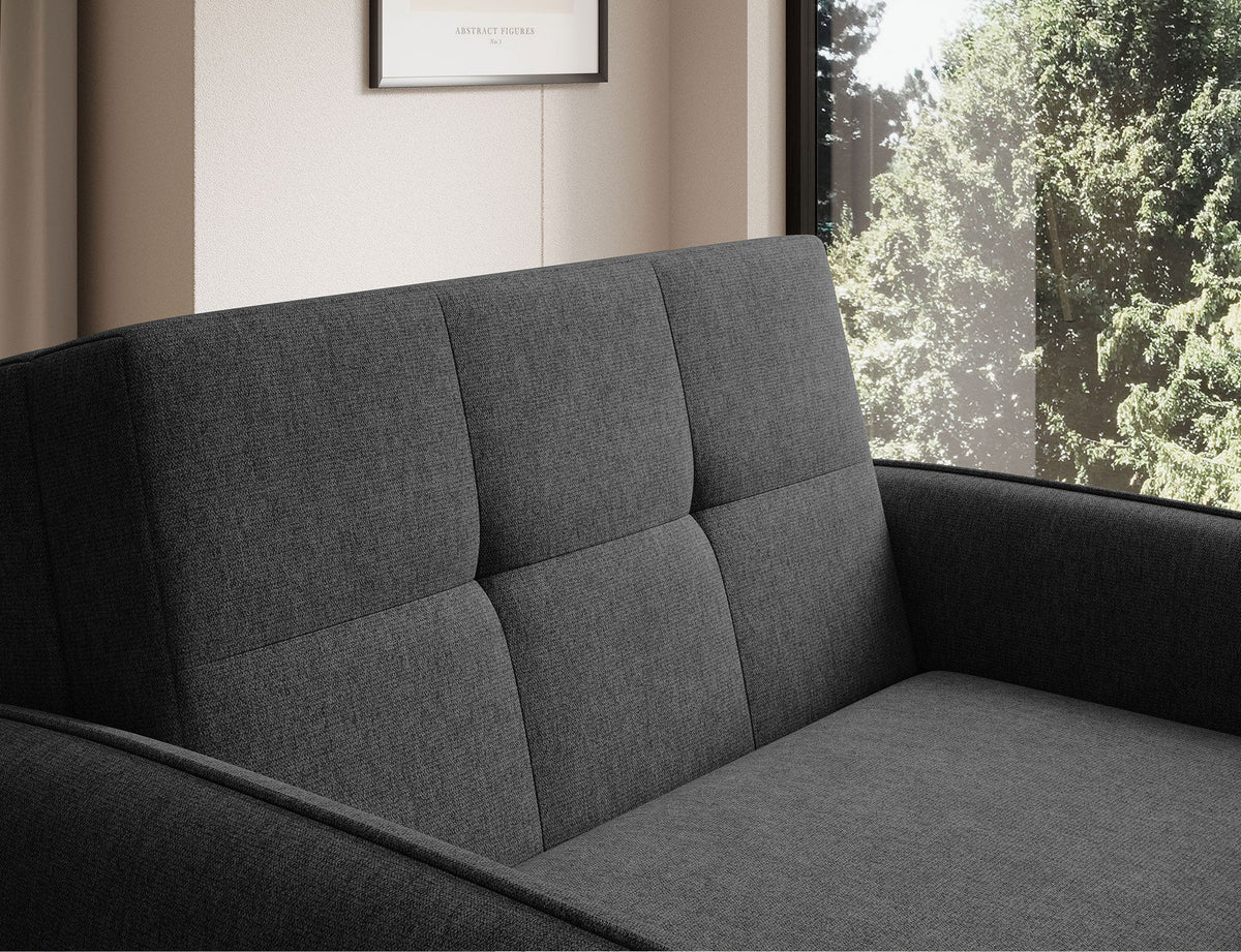 Laine Condo Style 1 Seater Storage Sleeper Sofa - Black