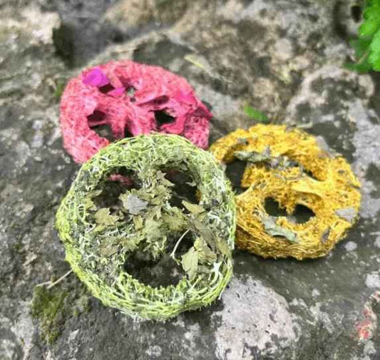 Loofah Chew Variety Pack