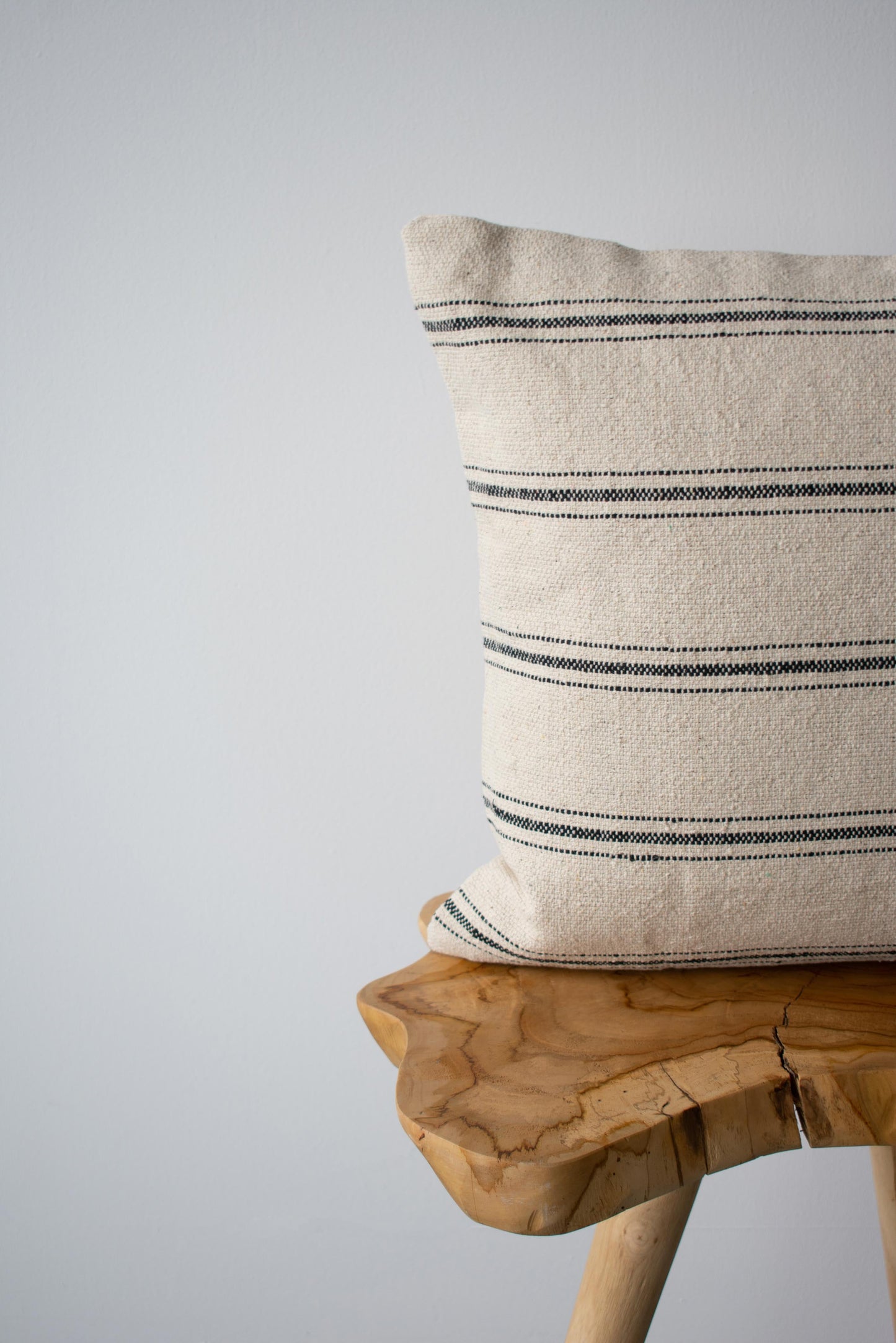 COTTON CANVAS - NEO