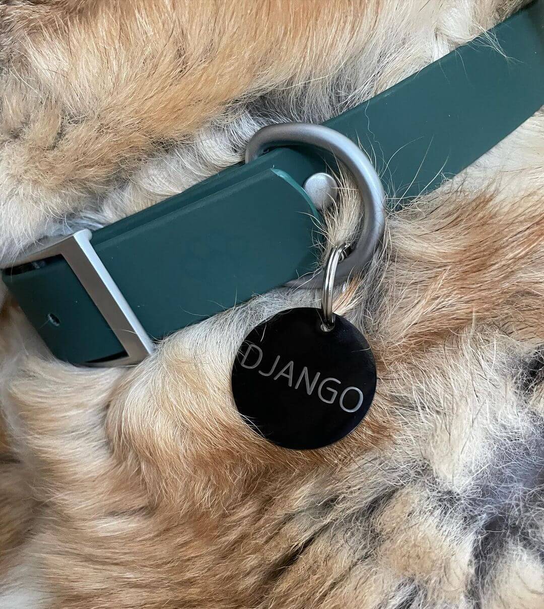 Hundespaziergang-Kombination: Halsband, Leine, Erkennungsmarken-Set