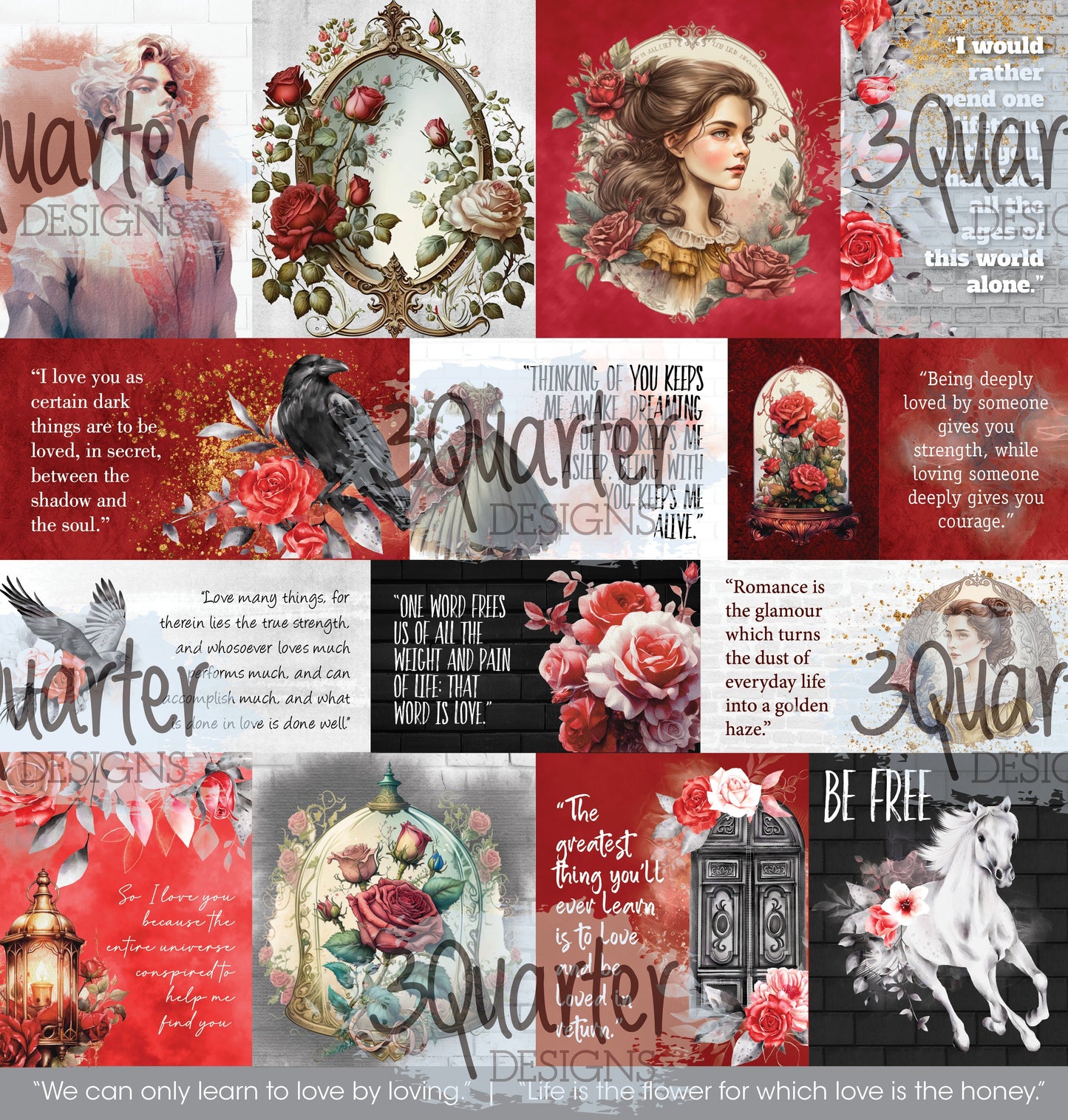 Spellbound Rose 12x12 Collection Pack