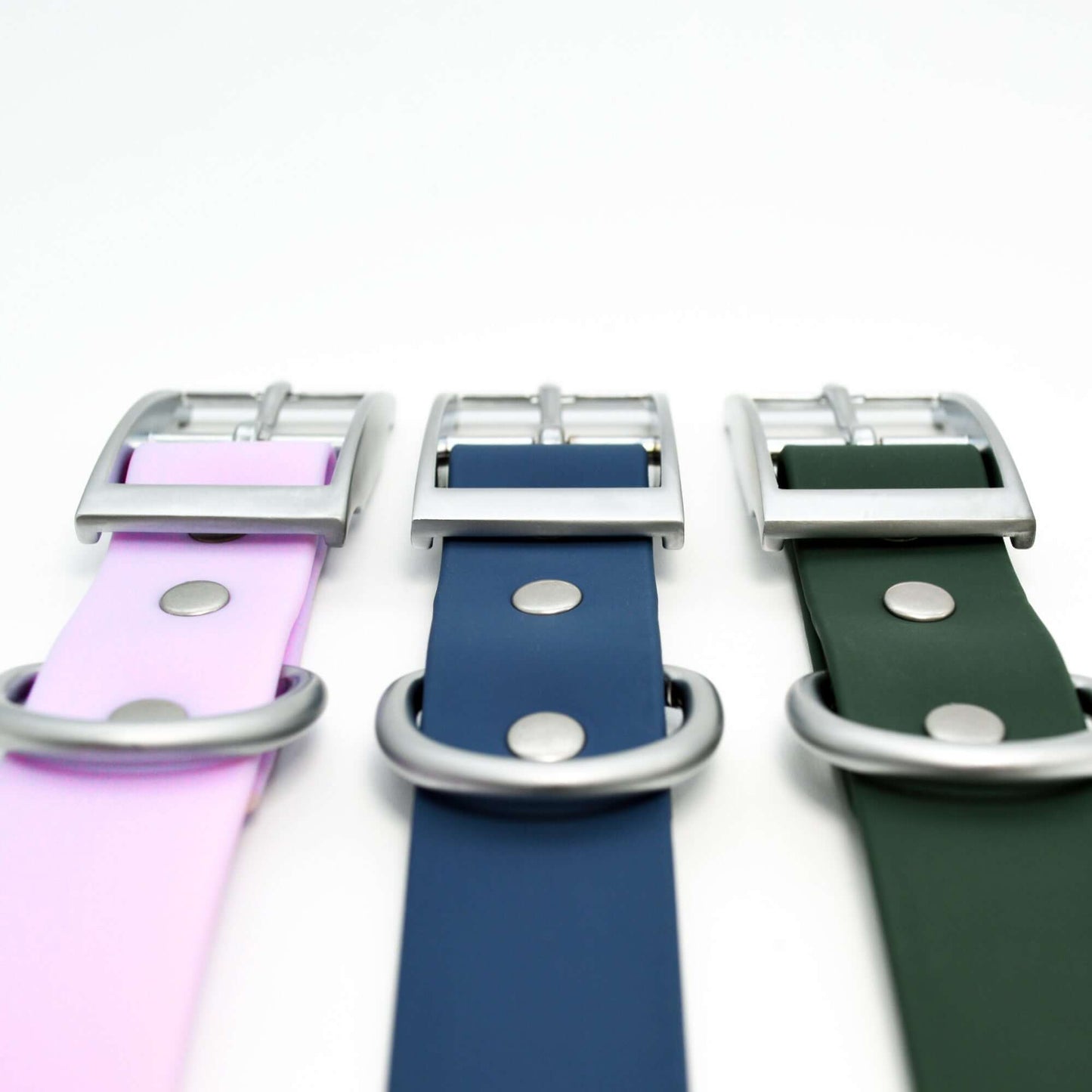 Hundespaziergang-Kombination: Halsband, Leine, Erkennungsmarken-Set
