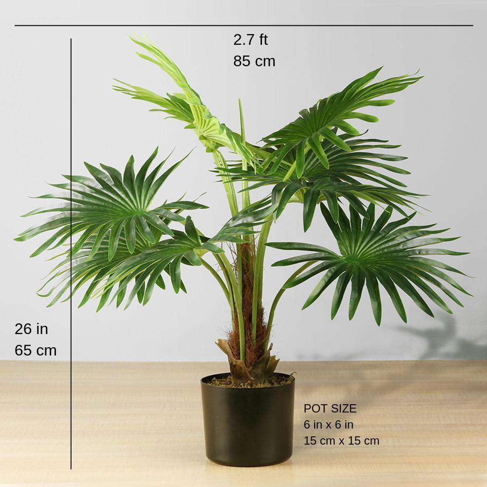 Tita künstliche Fächerpalme getopft 66 cm