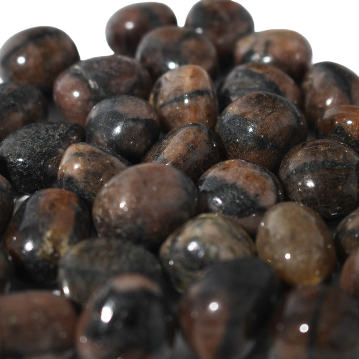 Chiastolite Tumbled Stones