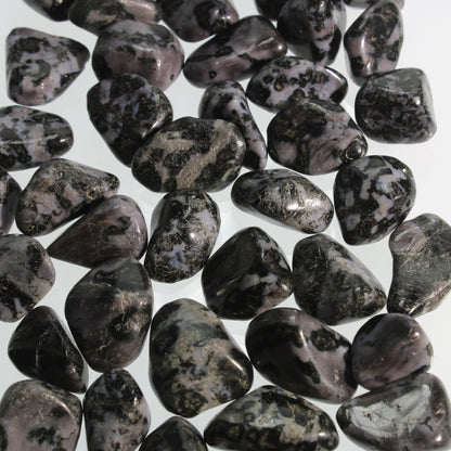 Indigo Gabbro Tumbled Stone