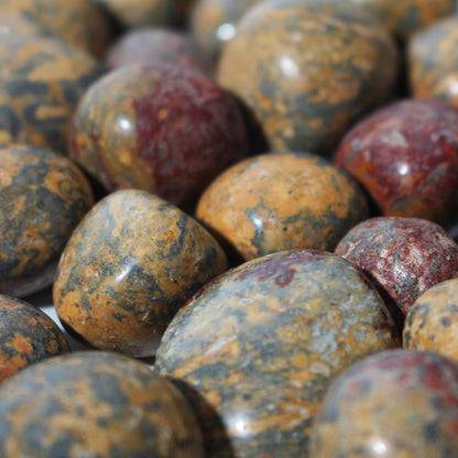 Red Leopardskin Jasper Tumbled Stones