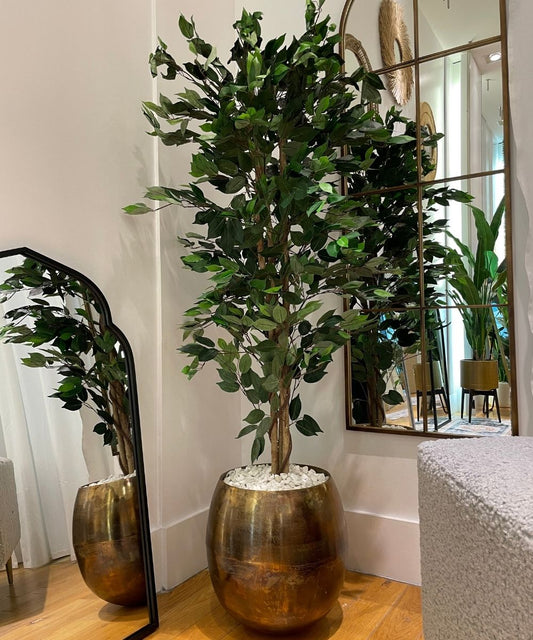 Tarso Kunstfeigenbaum im Topf 1,8 m