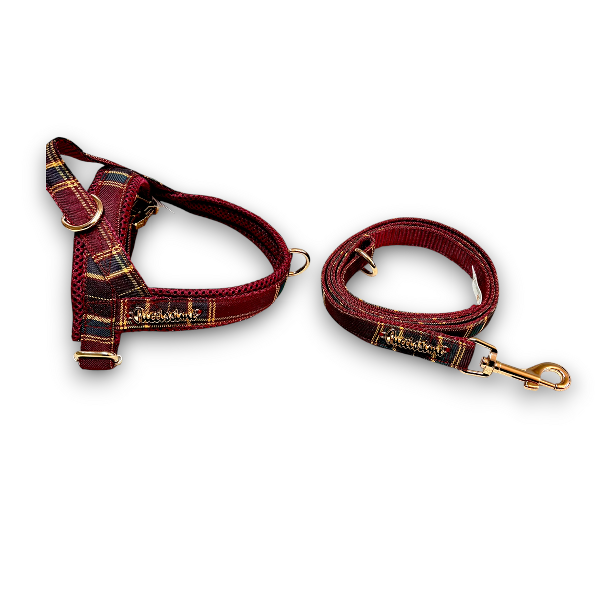Welsh Leash with hands-free extension