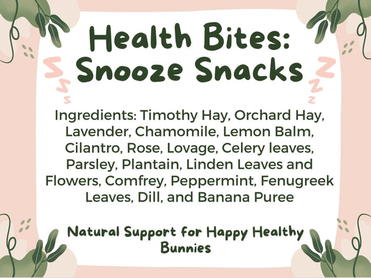 Health Bites: Snooze Snacks
