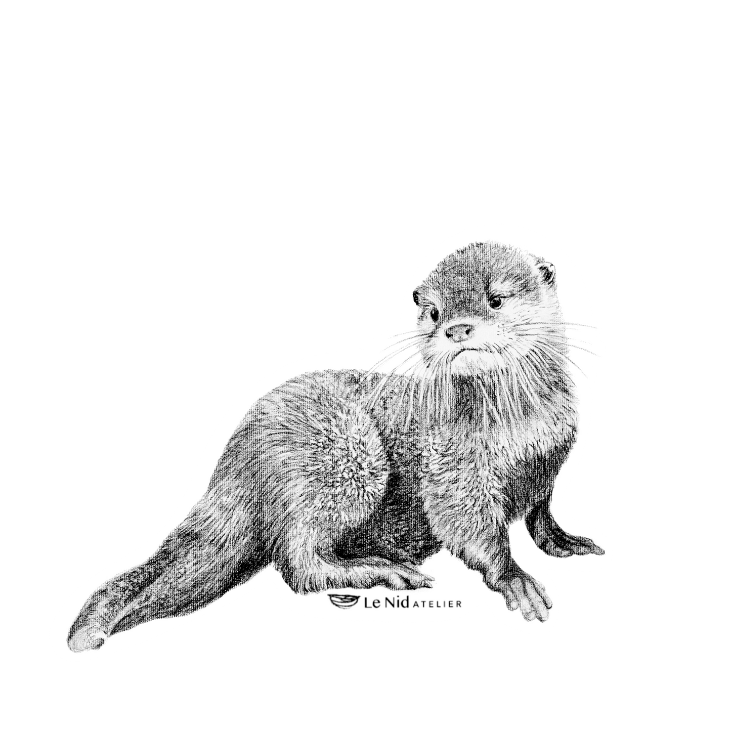 Baby-Otter-Magnet