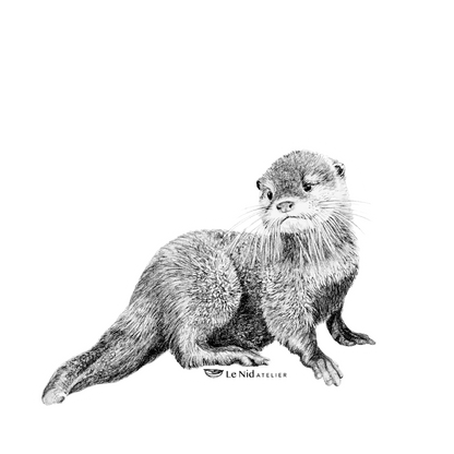Baby-Otter-Magnet
