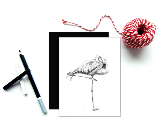Beautiful Pink Flamingo Greeting Card