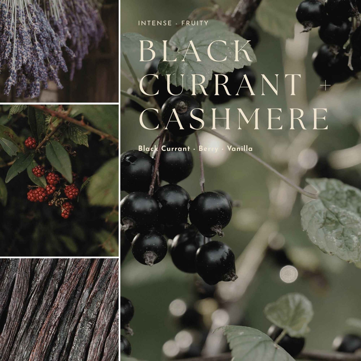 Gourmand, Fruit & Citrus Fragrance Mist