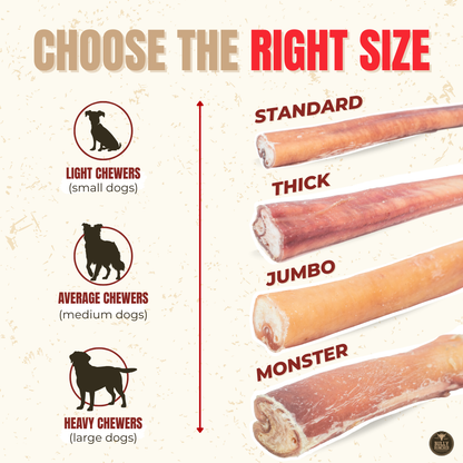 6 Inch Jumbo Bully Stick