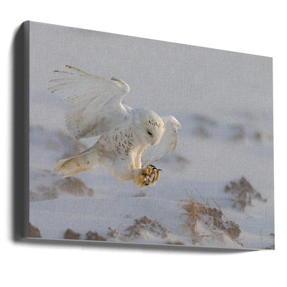 Wall art Landing
