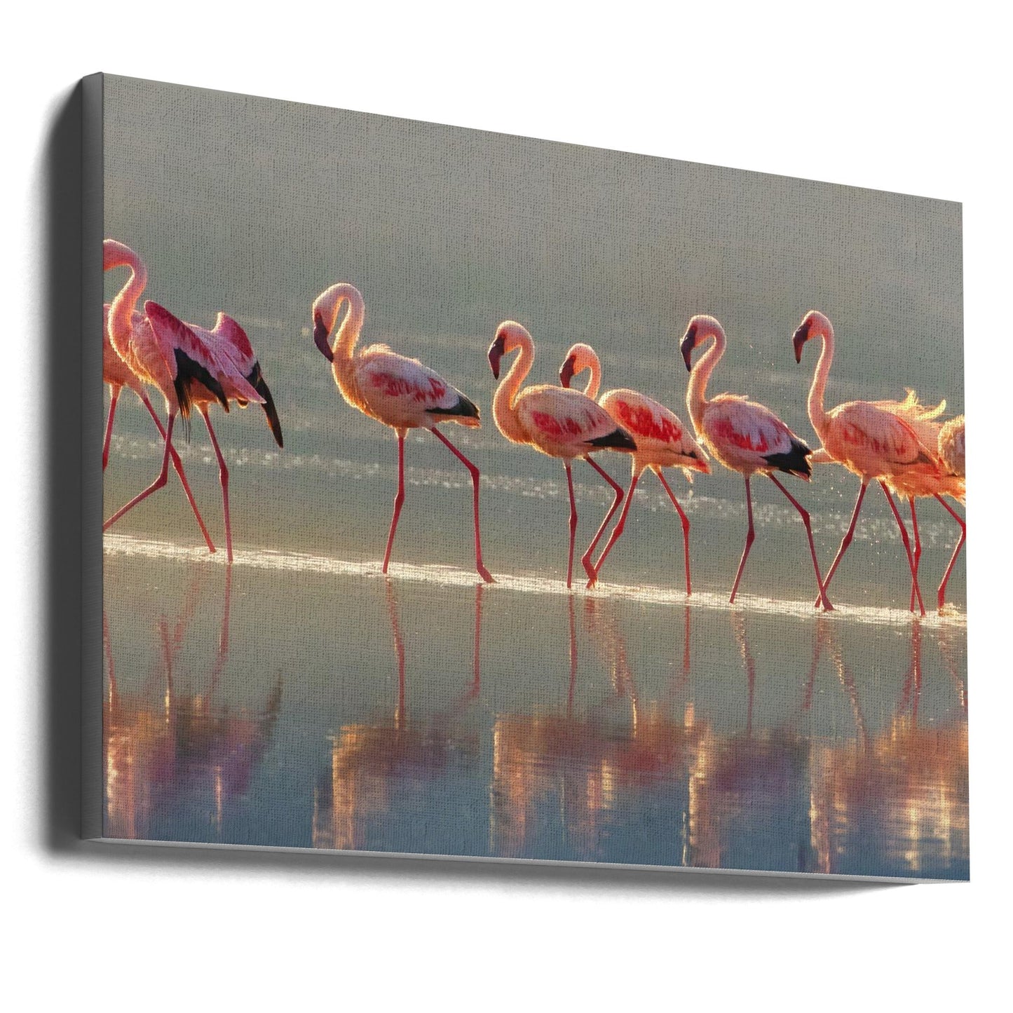 Wandbild Flamingo-Landschaft